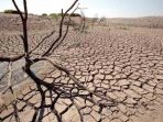 lampung-sudah-masuki-pancaroba-musim-kemarau-diprediksi-awal-mei